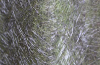 West Kennett fibreglass roof work